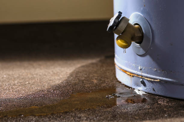 Best Water damage contractors near me  in Feather Sound, FL