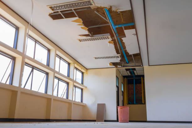 Best Emergency water damage restoration  in Feather Sound, FL