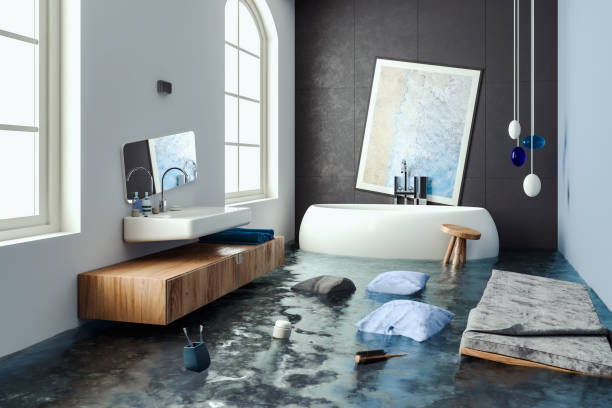 Best Mold removal after water damage  in Feather Sound, FL