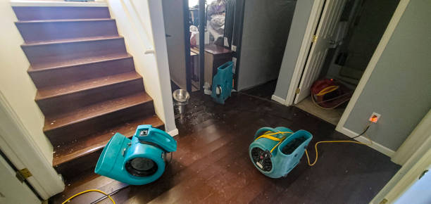 Best Water damage restoration near me  in Feather Sound, FL