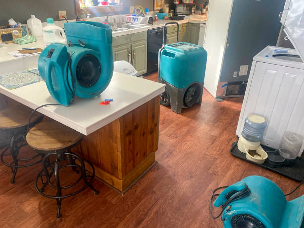 Best Emergency water extraction  in Feather Sound, FL