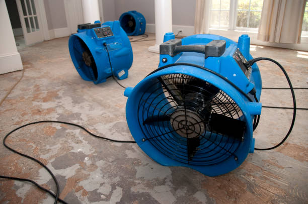 Best Water damage restoration near me  in Feather Sound, FL