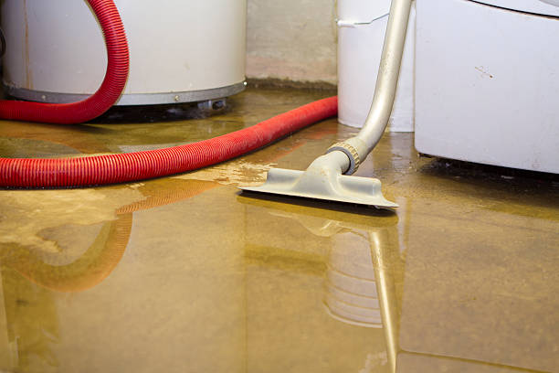 Best Water damage cleanup near me  in Feather Sound, FL