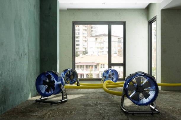 Best Carpet water damage restoration  in Feather Sound, FL