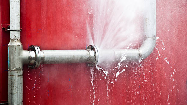 Best Water damage restoration near me  in Feather Sound, FL