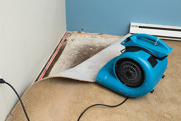 Best 24/7 water damage repair  in Feather Sound, FL
